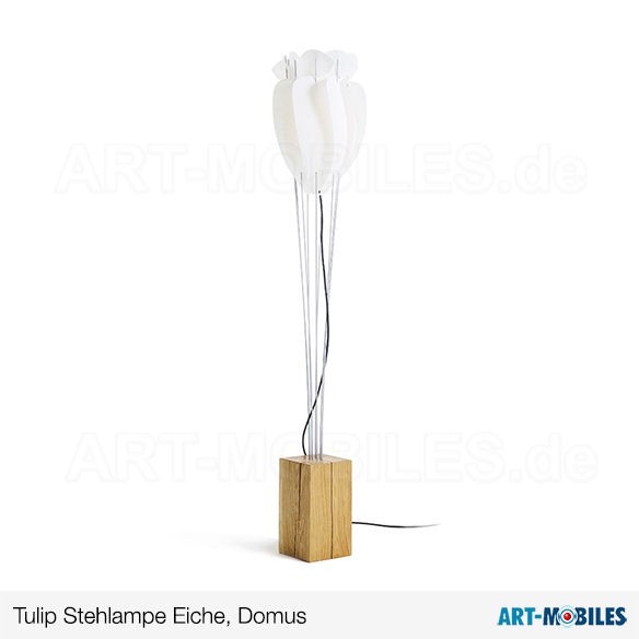 Tulip Stehlampe Objekt in Eiche Domus